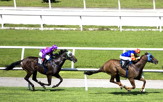 Pro Jockey Insurance